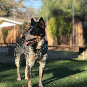 Meet your Posher, Edyn